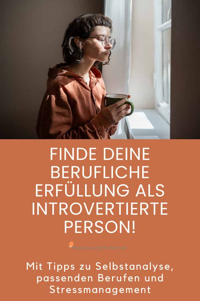 berufliche Erfüllung als introvertierte Person